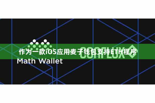 作为一款iOS应用麦子钱包支持ETH程序