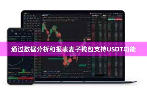 通过数据分析和报表麦子钱包支持USDT功能