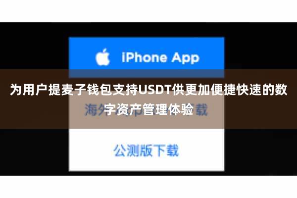 为用户提麦子钱包支持USDT供更加便捷快速的数字资产管理体验