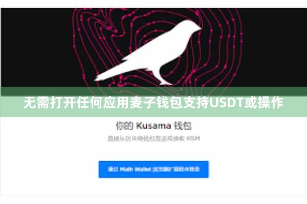 无需打开任何应用麦子钱包支持USDT或操作