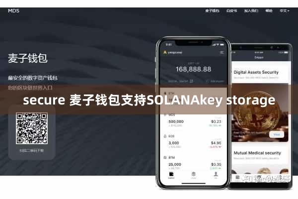 secure 麦子钱包支持SOLANAkey storage