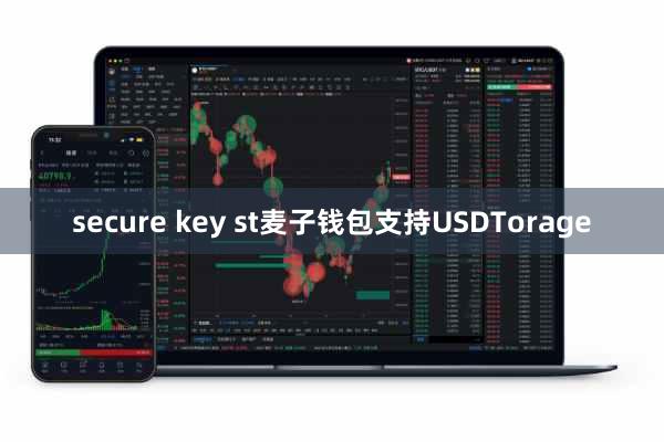 secure key st麦子钱包支持USDTorage