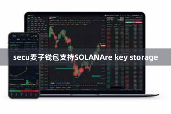 secu麦子钱包支持SOLANAre key storage