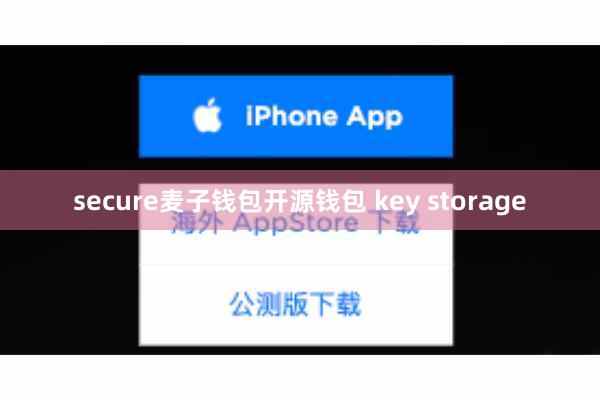 secure麦子钱包开源钱包 key storage