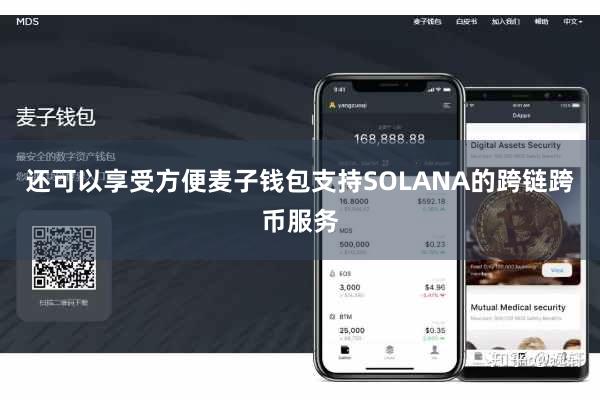 还可以享受方便麦子钱包支持SOLANA的跨链跨币服务