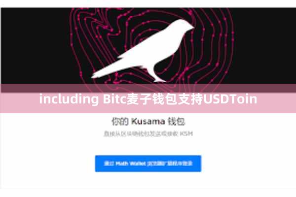 including Bitc麦子钱包支持USDToin
