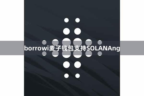 borrowi麦子钱包支持SOLANAng