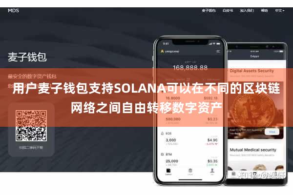 用户麦子钱包支持SOLANA可以在不同的区块链网络之间自由转移数字资产