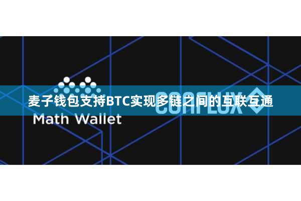 麦子钱包支持BTC实现多链之间的互联互通