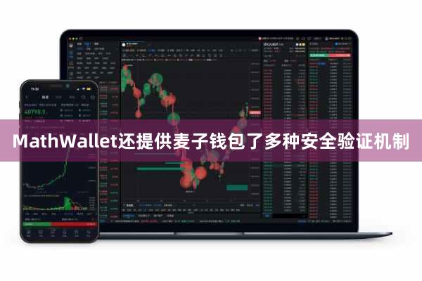 MathWallet还提供麦子钱包了多种安全验证机制