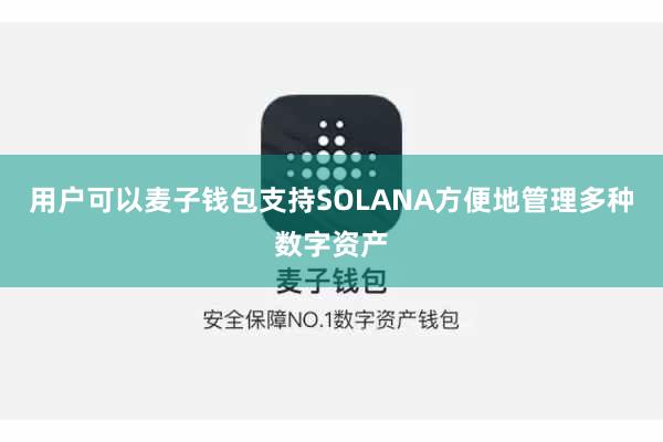 用户可以麦子钱包支持SOLANA方便地管理多种数字资产