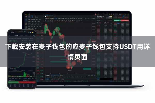 下载安装在麦子钱包的应麦子钱包支持USDT用详情页面