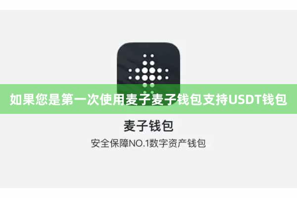 如果您是第一次使用麦子麦子钱包支持USDT钱包